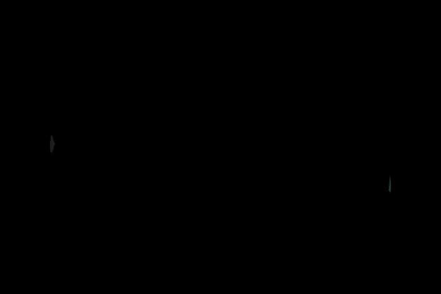 Zahradní architektura Kurz
